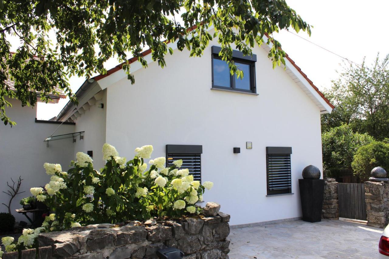 Appartement Colle Divino à Wurtzbourg Extérieur photo